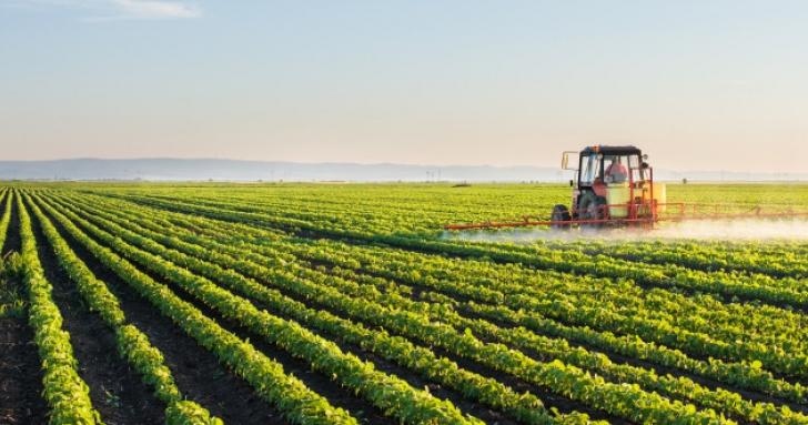 През изминалите две седмици процедурата за приемане на заявления за